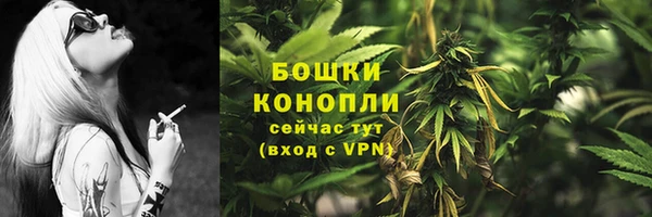 амф Арсеньев