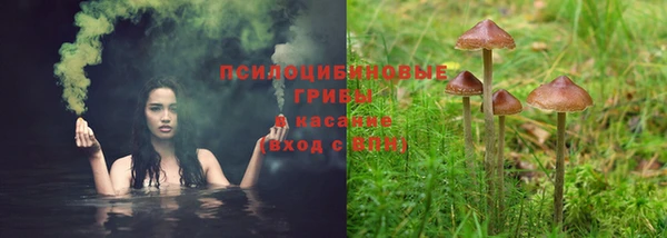 тгк Армянск