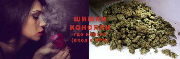 амф Арсеньев