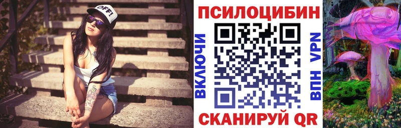 MEGA зеркало  где можно купить   Оленегорск  Галлюциногенные грибы мицелий 